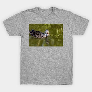 Curious Duck T-Shirt